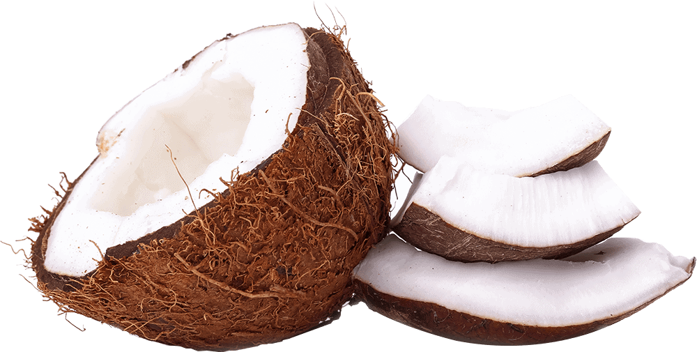 Dry Coconut