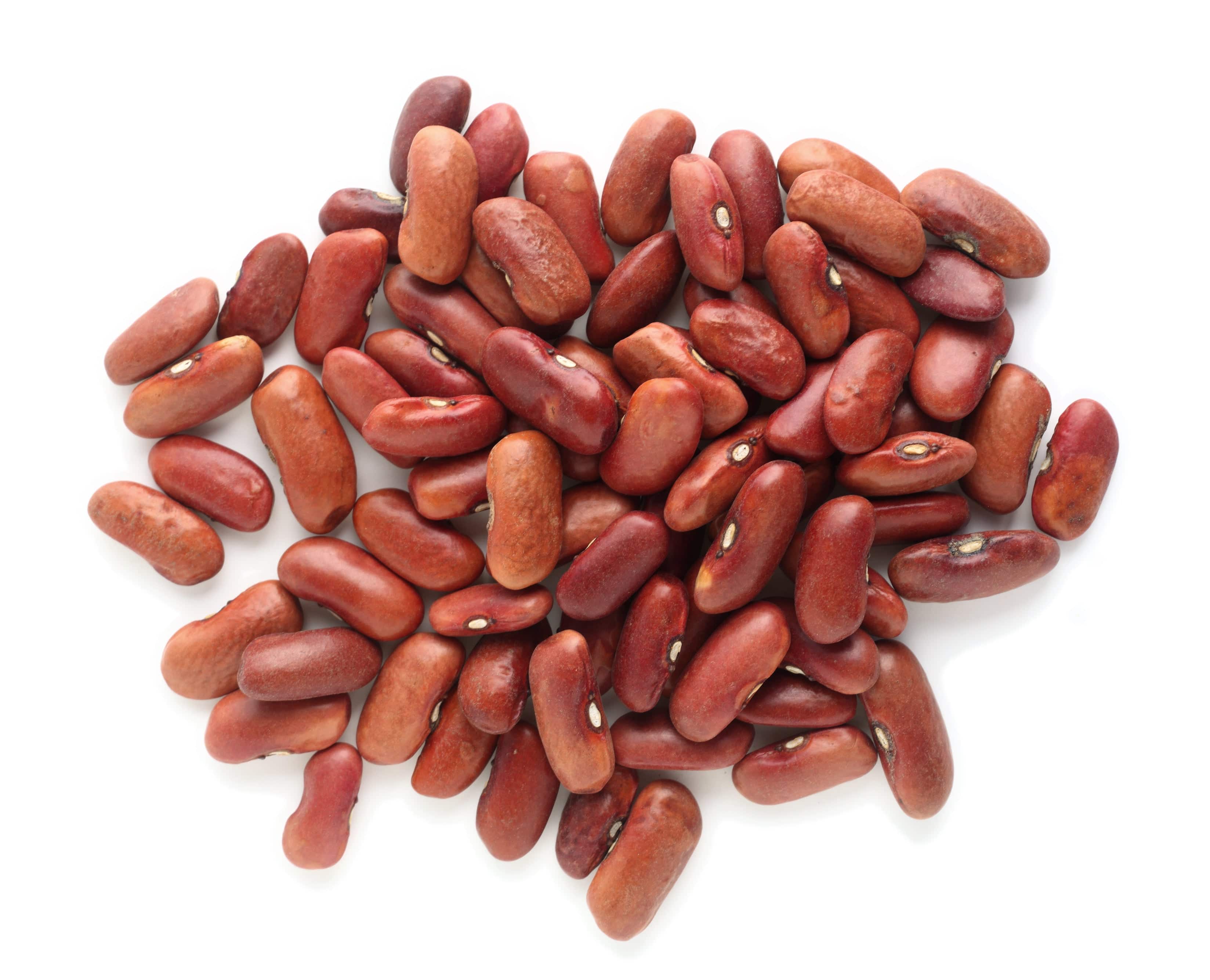 Kidney Beans Lt Red