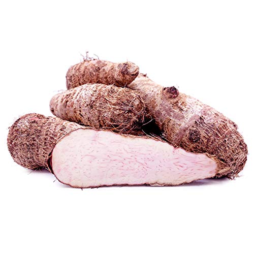 Pink Yautia