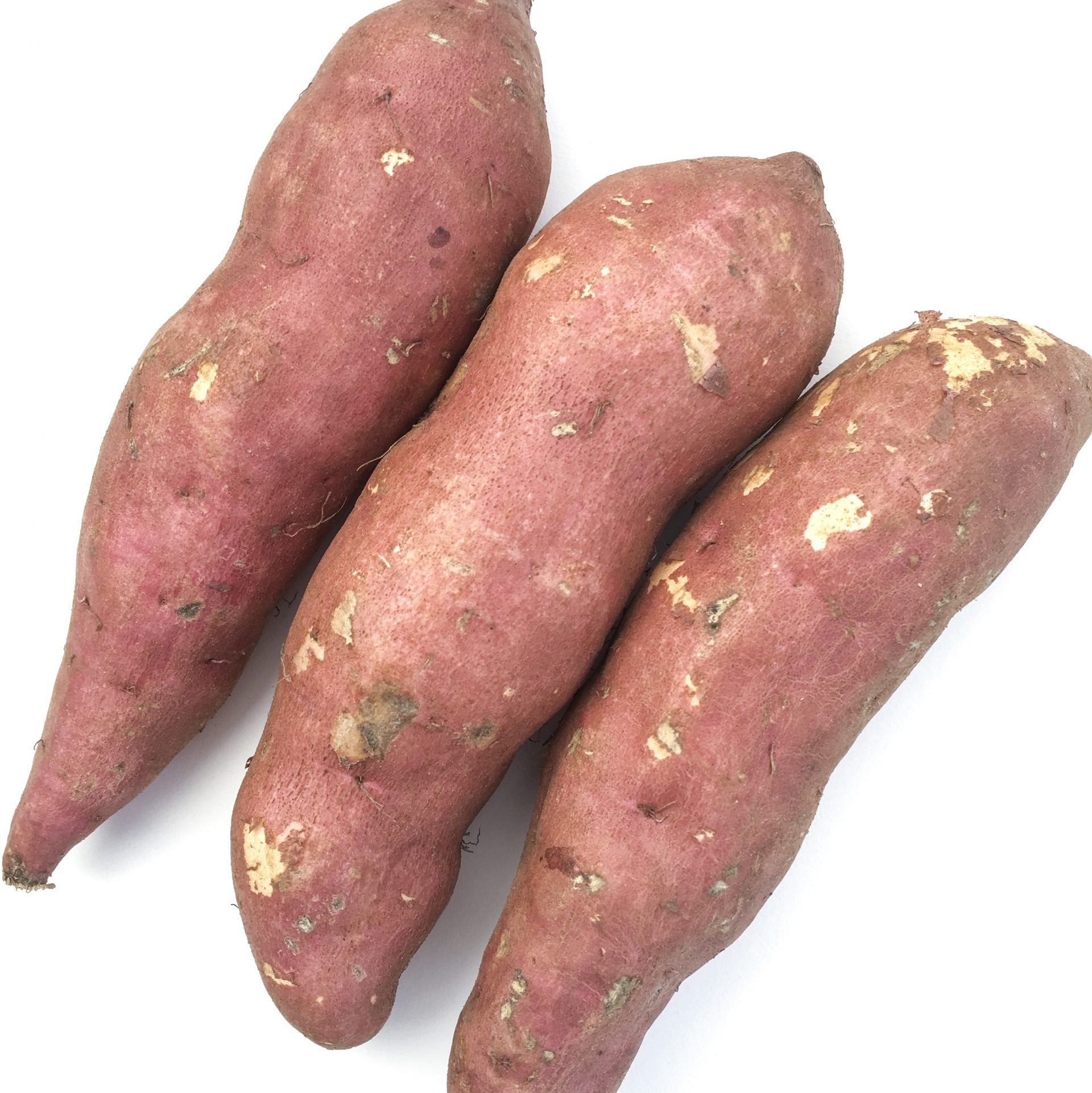 Sweet Potato